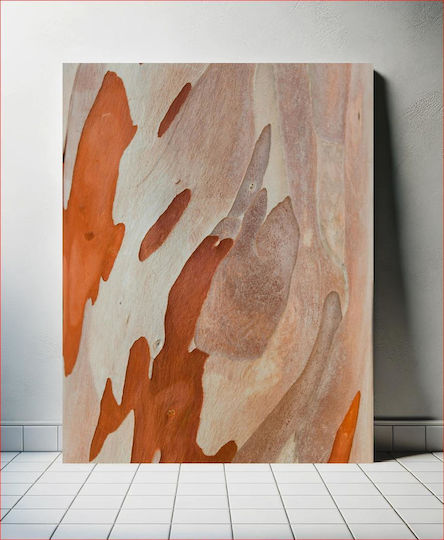 Abstract Tree Bark Pattern Canvas