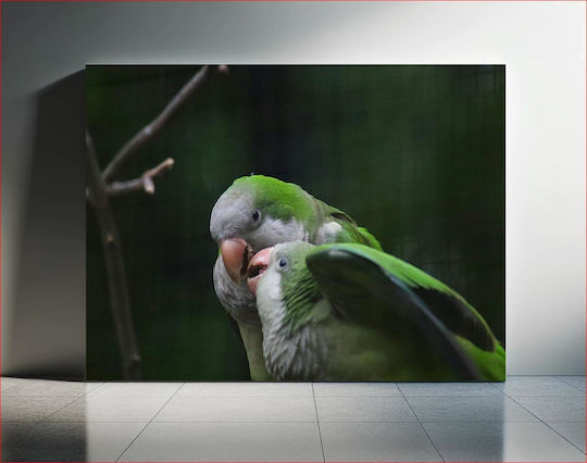 Pair Of Parrots In Nature Ζευγάρι Παπαγάλων Στη Φύση 1 σε Καμβά