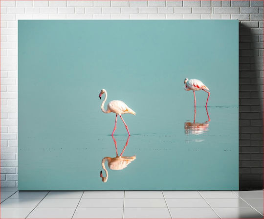 Flamingos In Serenity Φλαμίνγκο Στη Γαλήνη 1 Flamingos In Serenity Φλαμίνγκο Στη Γαλήνη 1