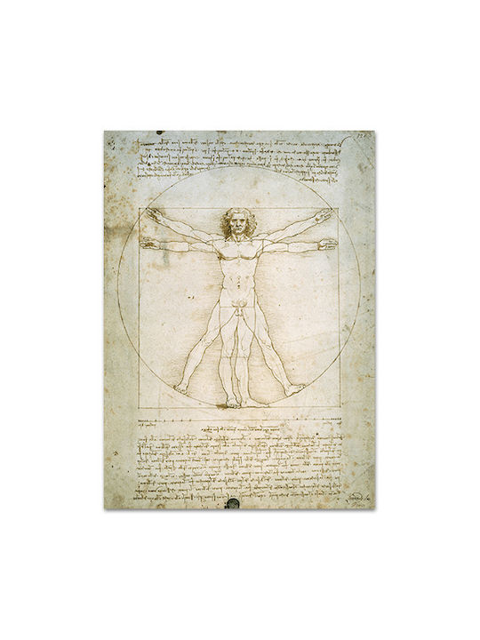 Canvas Leonardo Da Vinci The Vitruvian Man 47x66