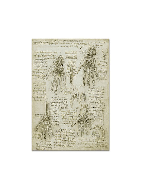 Καμβάς Leonardo Da Vinci Οστά Οι Μύες Οι Τένοντες Του Χεριού 127χ182