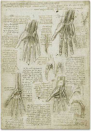 Καμβάς Leonardo Da Vinci Οστά Οι Μύες Οι Τένοντες Του Χεριού 66χ94