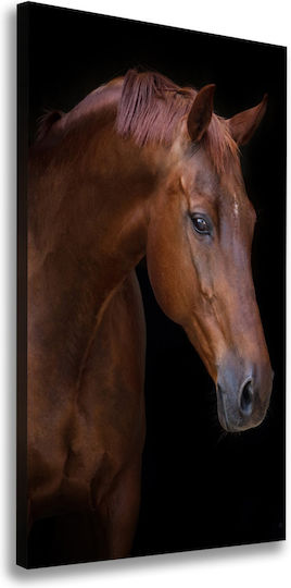 Panou Pânză Living Decorare Zilnică Portret Cal 70x140 Cm