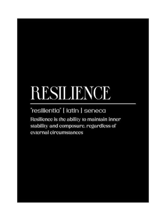 Quote Poster Resilence Seneca Pq164 30cm X 40cm Λευκή Ξύλινη Κορνίζα
