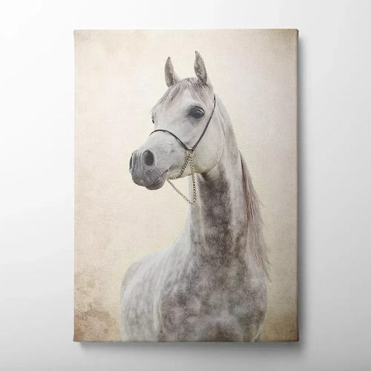 Πίνακας Καμβά Λευκό Άλογο Knv322 30cm X 40cm