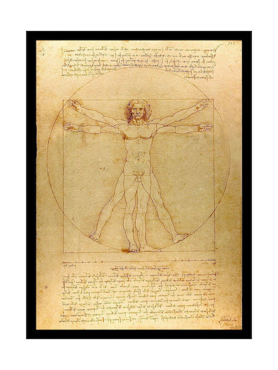 I-gallery The Vitruvian Man Painting Copy of Da Vinci on Canvas 35x50cm