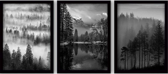 Frames Set of 3pcs 364lul1267 35x45cm Black-white Wallity Vertical Plastic MDF