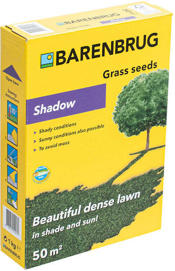 Barenbrug Σπόροι Γκαζόν Σκιάς 1kg