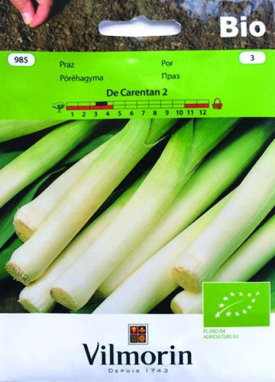 Vilmorin Σπόροι Πράσου De Carentan 2