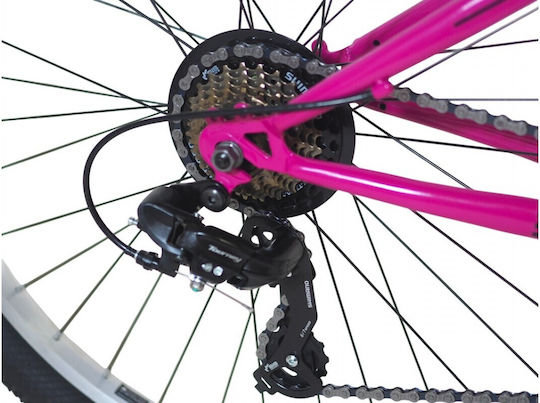 Alpina 24" Kids Mountain Bike Purple