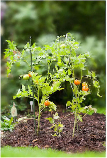 Plant Stake 90cm