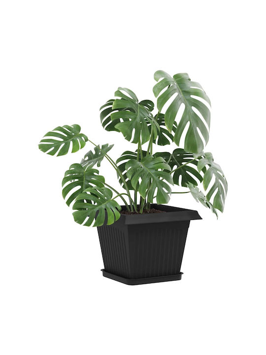 vidaXL Set of 6 Black Plastic Flower Pots
