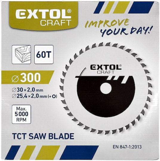 Disc De Tăiere Circular 300x3.0x30mm 60 Lama 19116 5000 Rpm