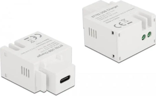 DeLock Module Keystone 1τμχ