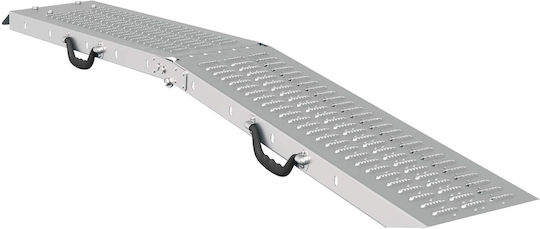 Vidaxl Loading Ramp 2 Pieces Silver 166 x 22.5 x 4.5 cm