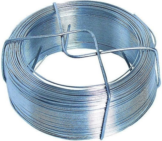 Galvanisierter Draht 1,1 Mm x 50 M Pflanzenstützen & Bindematerial