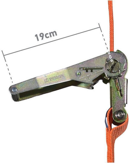 Express Curea 100x100cm cu curele de bagaje auto Greutate maximă de tensiune 5T 1buc