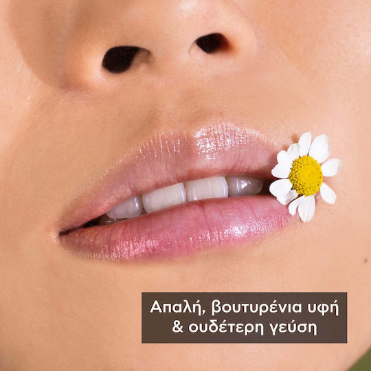 Apivita Lip Balm SPF15 Χαμομήλι 4.4gr