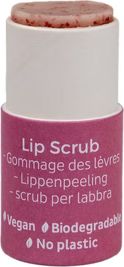 Beauty Made Easy Scrub De Buze Paper Cranberry 6gr