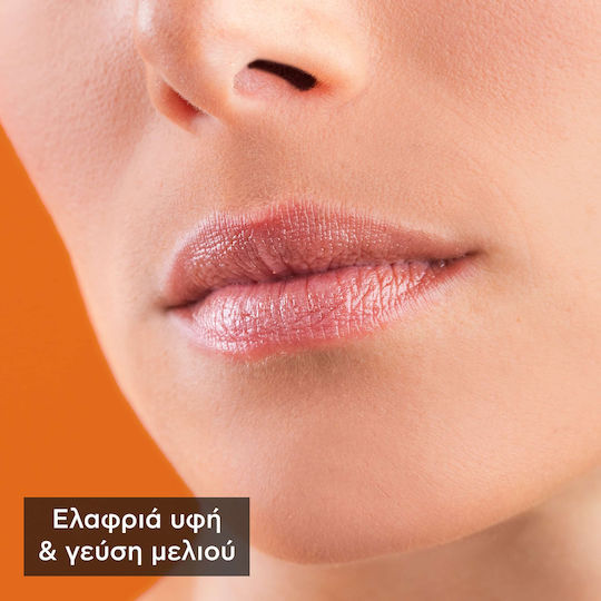 Apivita Lip Balm SPF15 Μέλι 4.4gr