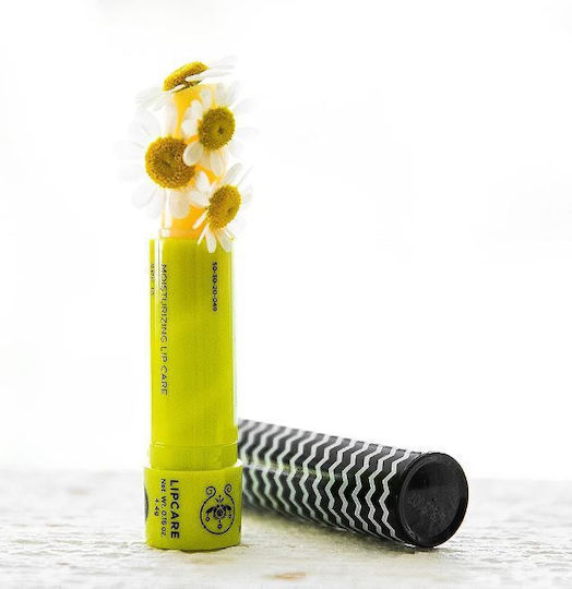 Apivita Lip Balm SPF15 Chamomile 4.4gr
