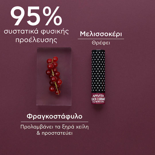 Apivita Black Currant Lip Balm Black Currant 4.4gr