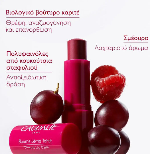 Caudalie Vinotherapist Lippenpflege Balsam 4.5gr