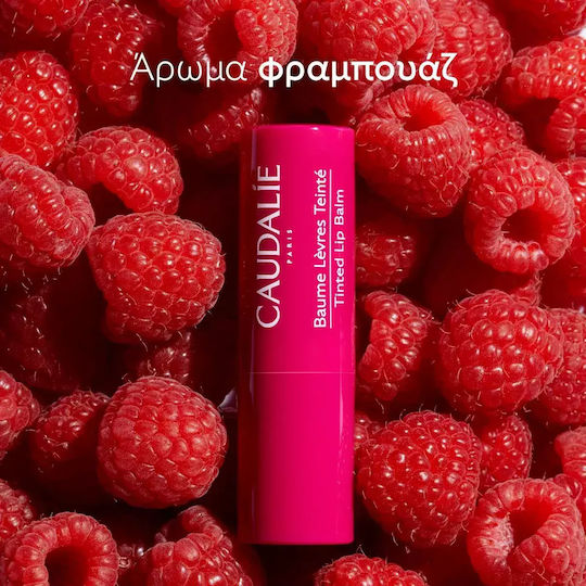 Caudalie Vinotherapist Lippenpflege Balsam 4.5gr