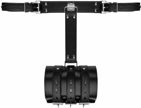 Bedroom Fantasies BDSM Kit in Black Colour