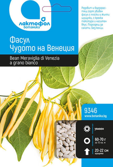 Bean Seeds Meraviglia Di Venezia Pack