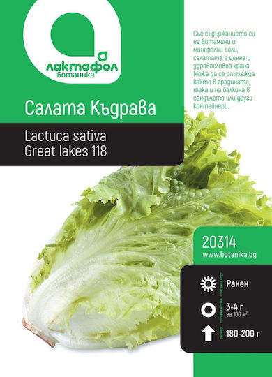 Botanic Curly Lettuce Seeds