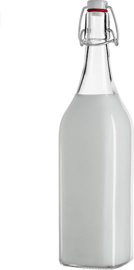 Kadax Glas Wasserflasche mit Clip Transparent 1000ml 3 Stücke