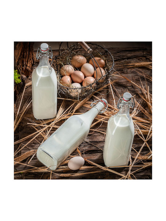 Kadax Μπουκάλι Νερού Γυάλινο με Κλιπ Διάφανο 1000ml 3 Τεμάχια