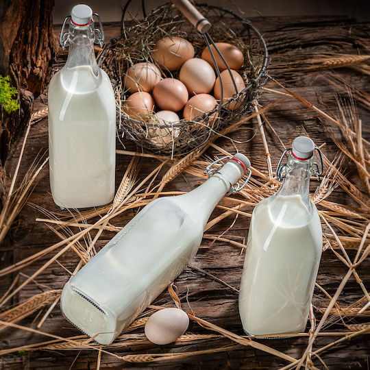 Kadax Glas Wasserflasche mit Clip Transparent 1000ml 3 Stücke