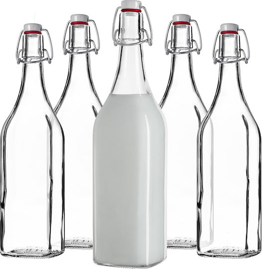 Kadax Glas Wasserflasche mit Clip Transparent 1000ml 3 Stücke