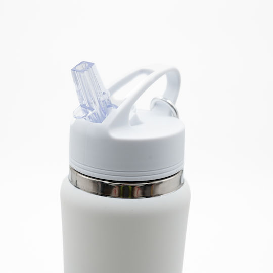 TnS Stainless Steel Thermos Bottle 750ml Stainless Steel with Straw and Handle