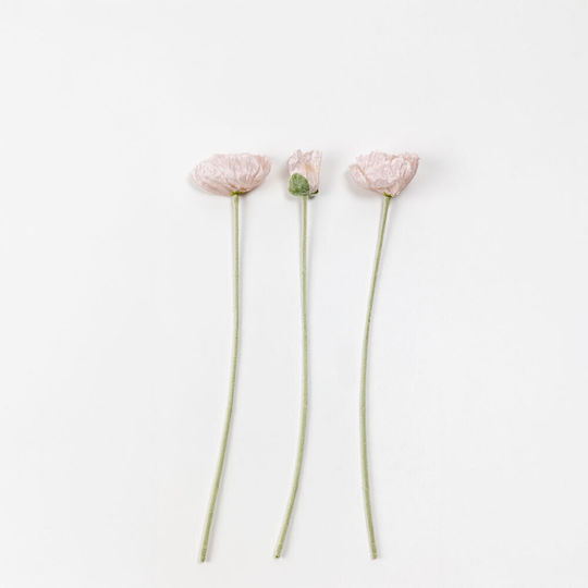 Poppy Λουλουδι Τεχνητο 61 Polyester Ροζ Ανοιχτο Σετ 12 Τμχ 030890 Polyester Poppy Λουλουδι Τεχνητο 61 Polyester Ροζ Ανοιχτο Σετ 12 Τμχ 030890 Polyester
