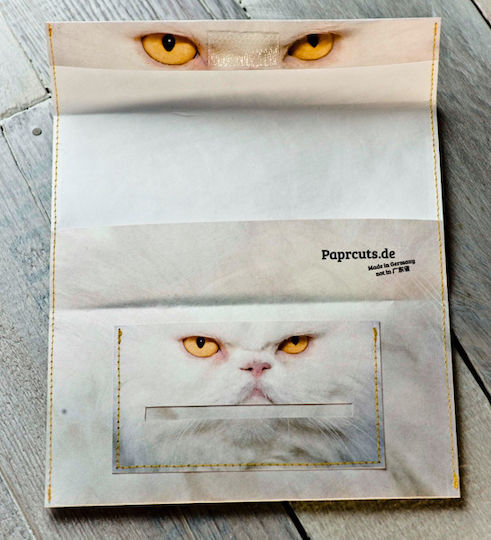 Καπνοθήκη Paprcuts Crumpy Cat