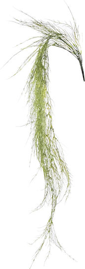 Supergreens Artificial Hanging Russelia Green 110 cm