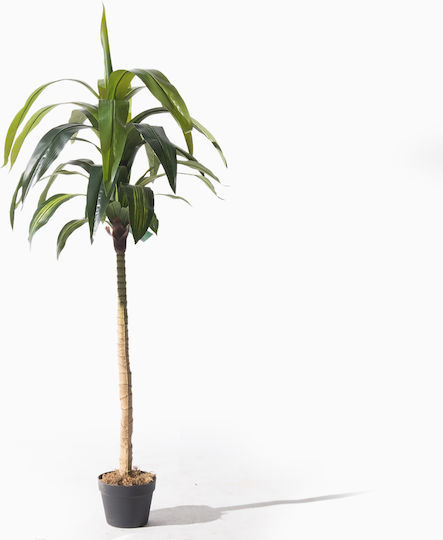 Supergreens Изкуствено Дърво Dracaena Зелено 170 См 6-0317