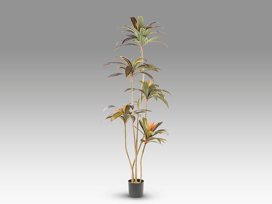 Dracena Roșie 281348 Plantă Artificială H220 – Plantă Artificială Roșie Dracaena Dracena Roșie 281348 Plantă Artificială H220 – Plantă Artificială Roșie Dracaena