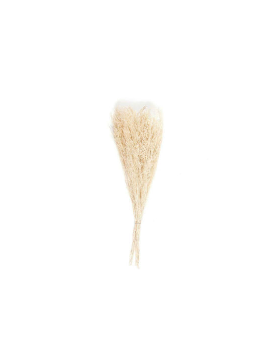 Künstlicher dekorativer Zweig Beige 70cm Andrea House
