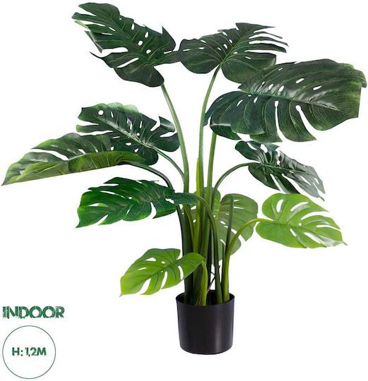 Monstera in Potted Plant GloboStar Monstera in Potted Plant GloboStar