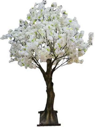 Peach Outdoor Tree White Newplan