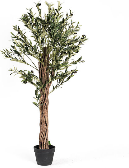 Olive Outdoor Tree Supergreens