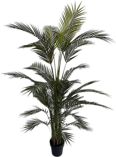 Outdoor Palm Tree Newplan