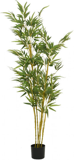 Bamboo in Pot Kaemingk Bamboo in Pot Kaemingk