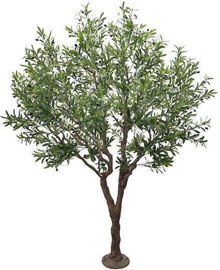 Olive Outdoor Tree Newplan