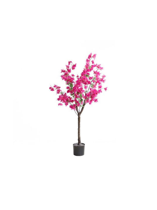 Βουκαμβίλια Εξωτερικού Χώρου Μωβ 150cm Gardin