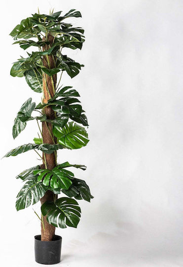 Arbore Artificial Monstera Supergreens Verde 150 cm Arbore Artificial Monstera Supergreens Verde 150 cm